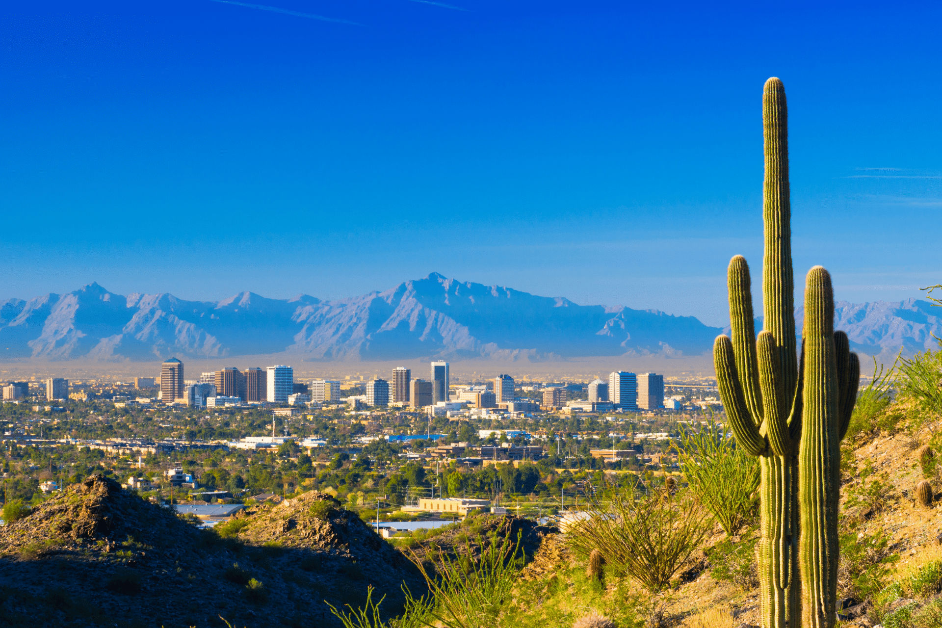 Skyline view of Phoenix, AZ